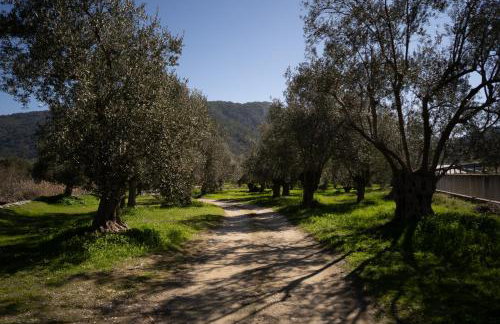 Tzànnou farm residence - Foto 67