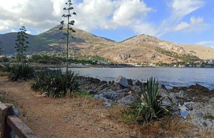 Casa MiRo - Affitti Brevi Sferracavallo - Foto 35