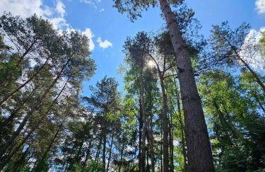 Leśniczówka Zielone Zakole - Foto 52