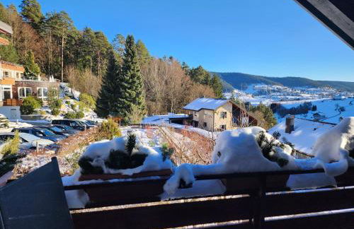 Schwarzwald-Ferienwohnungen Begert - Foto 78