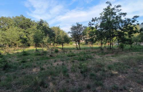 location saisonnière curiste - Foto 15