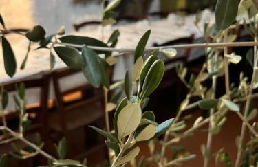 Agriturismo Nonni Devia - Foto 42