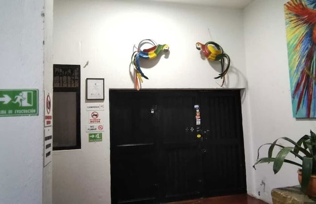 parrot house san antonio - Photo 3