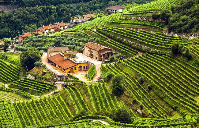 From Bologna: Verona and Valpolicella Day Tour - Photo 9