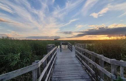 RoyalRelax Apartament w Lesie z Jacuzzi, Kinem domowym 88' - Białystok - Foto 65