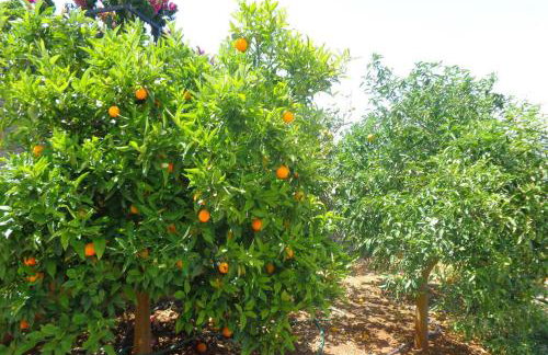 Luxury Villa with Pool overlooking a Majestic View - Foto 36