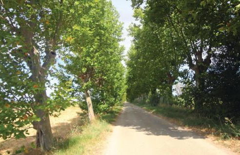 Nice Home In Narbonne With Sauna - Foto 11