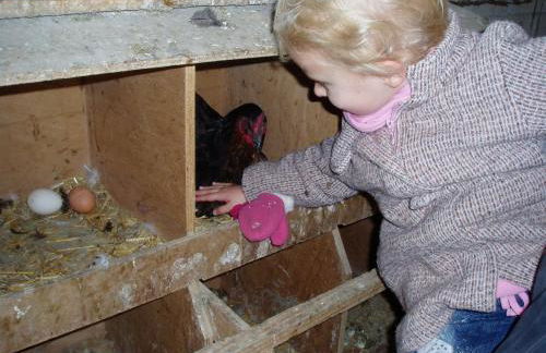 Domaine du Bas Chalus - Foto 20