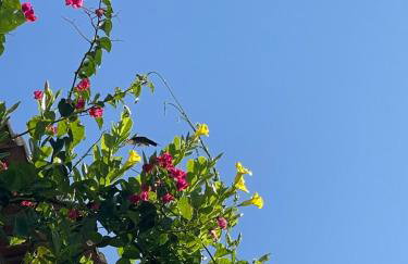 Morada do Vento - Foto 58