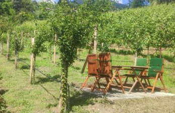 Janas Bolzano Mountain Apartment - Foto 9