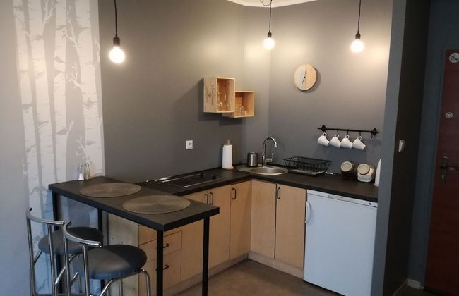 Apartamenty Sedinum - Foto 55