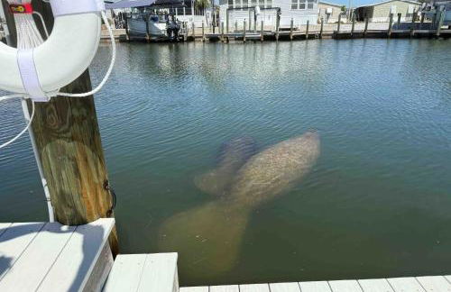 Lavender Life - Foto 54