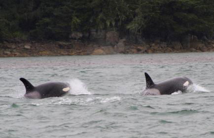 Captain's Quarters - Reduced Price Tours! - Foto 9