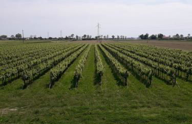 Tenuta Crescentini-ValleMura ,appartamenti con entrata indipendente - Foto 42