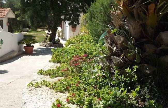 Residenza Collina dei Pini - Foto 49