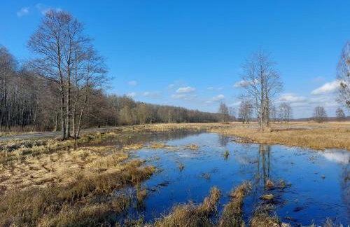 PUSZCZYKOWO siedlisko&spa - Foto 14