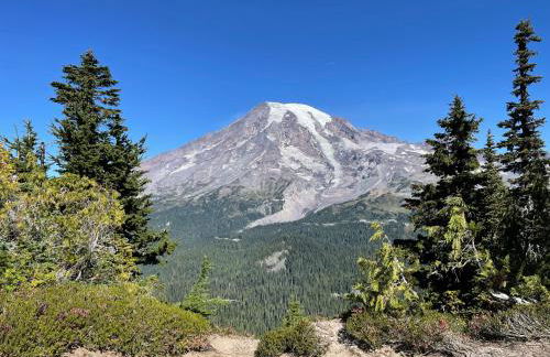 NEW Modern Cabin! 5mi to Mt Rainier National Park! Hot Tub & Wifi - Foto 29