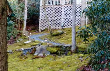 Valle Crucis Farm - Foto 43