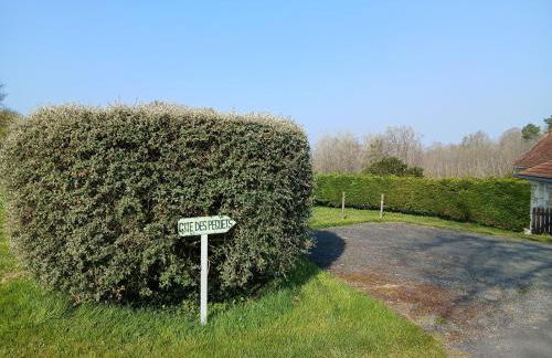 Gite Chambres d Hotes des Péguets - Foto 25