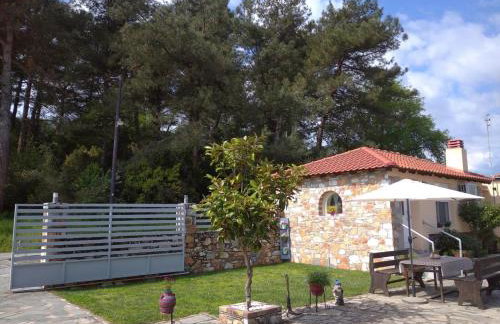 AMISIANA LITTLE BEAUTY NEXT TO NATURE - Foto 27