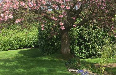 Woodleighton Cottages - Foto 79