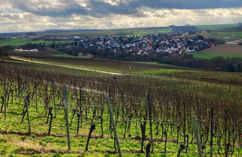 Rausblick Cabin - Foto 10