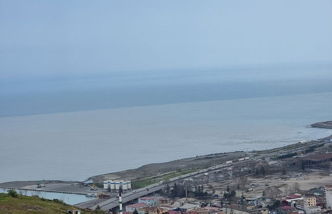 Alsaleh Group Evleri - Foto 11