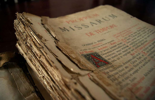 San Ignacio de Moxos Day Trip - Foto 3