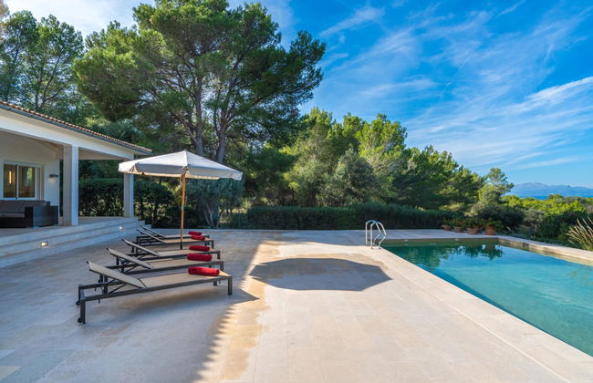 Orquidea 34 - Photo 37