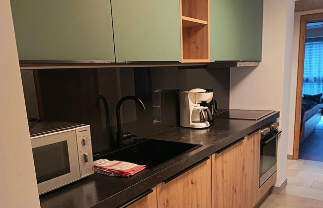 Apartment in Hohe Tauern Near Wildkogel Arena - Foto 5