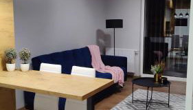 Apartament przy Parku Śląskim - Foto 2