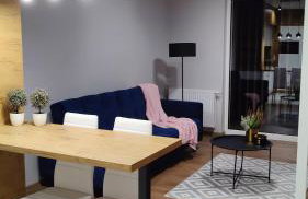 Apartament przy Parku Śląskim - Foto 2