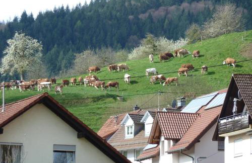 Ferienwohnung am Wald Dörlinbach Parkplatz Überdachte Terasse Garten - Photo 15
