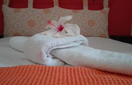 Plumeria Flowery - Foto 11