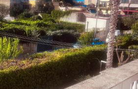 Proserpina House - Foto 19