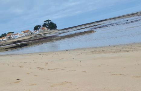 LE CLOS FLEUR de SEL - Foto 39