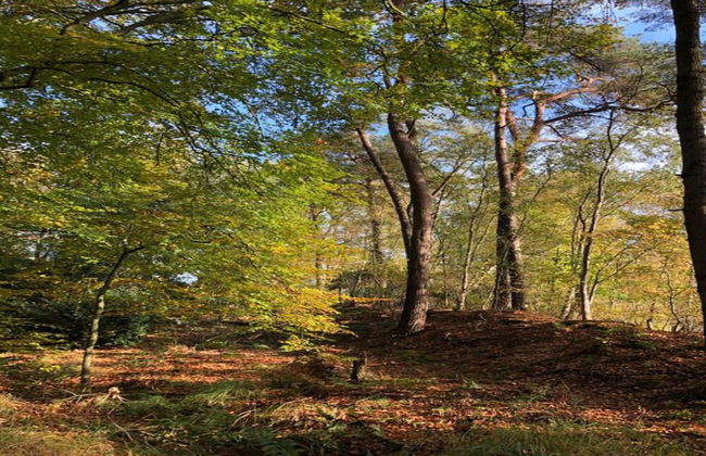 Modern Chalet Near Lake Sneek - Foto 26