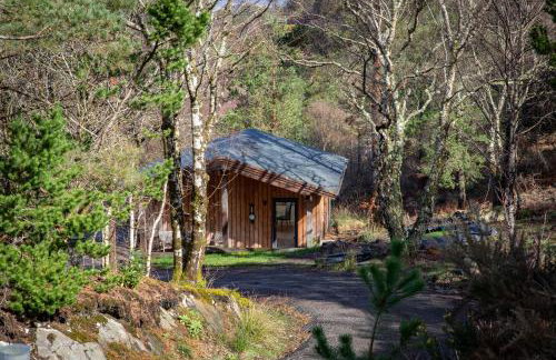 studio in the wood - Foto 14