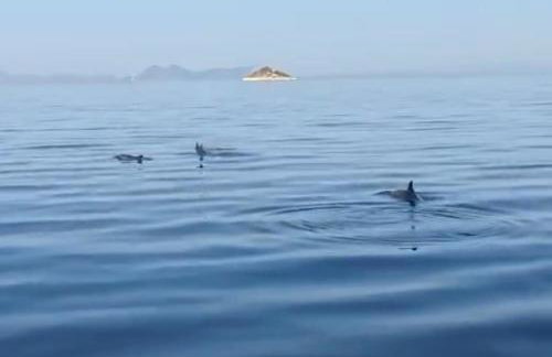 Flotillen Segeln in Griechenland inklusive Skipper und Tourguide 7 Nächte mit 7 Inseln im Ionischen Meer An- und Abreise SAMSTAG Kojencharter und Mitsegeln - Foto 12