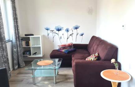 PONTUS Ferienwohnung FeWo2 - Photo 6