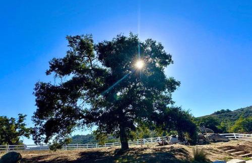 Getaway Retreat Close to Temecula San Diego LA - Foto 22