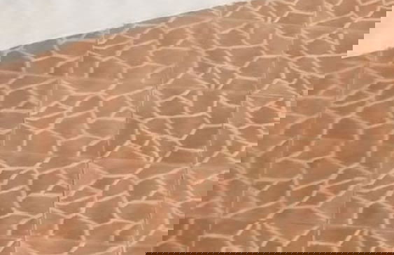 Holiday House at Villa Montego - Photo 69