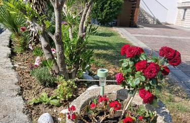 Apartmani Gero - Foto 76