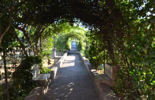 Villa Aura - Photo 5