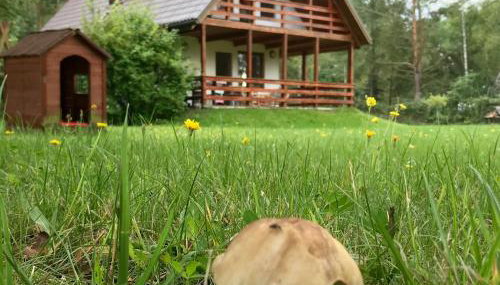 Domek nad Wkrą - Foto 2