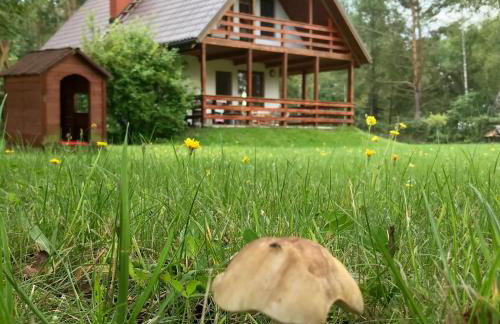 Domek nad Wkrą - Foto 2