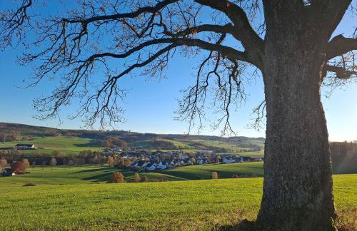 Ferienwohnung Viedenz - Foto 30
