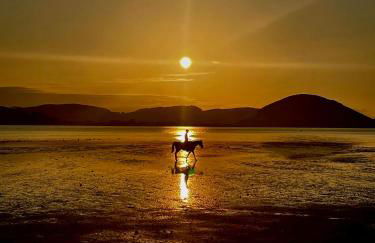 Apartamento en Ajo, La Marina de Ajo-12013 - Foto 30