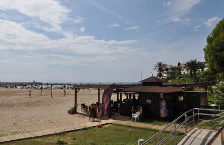 Tenis Roda de Bara - Foto 41