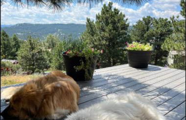 Mountain Top Luxury Red Rocks Hot tub Sauna Views - Photo 80